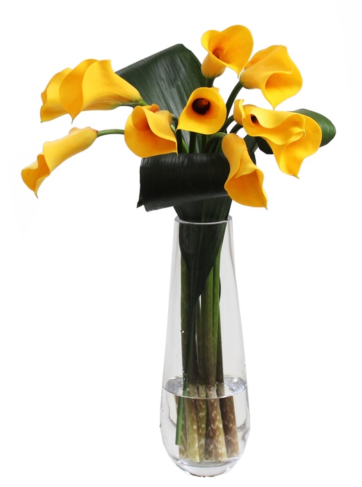 Calla Lily in Vase