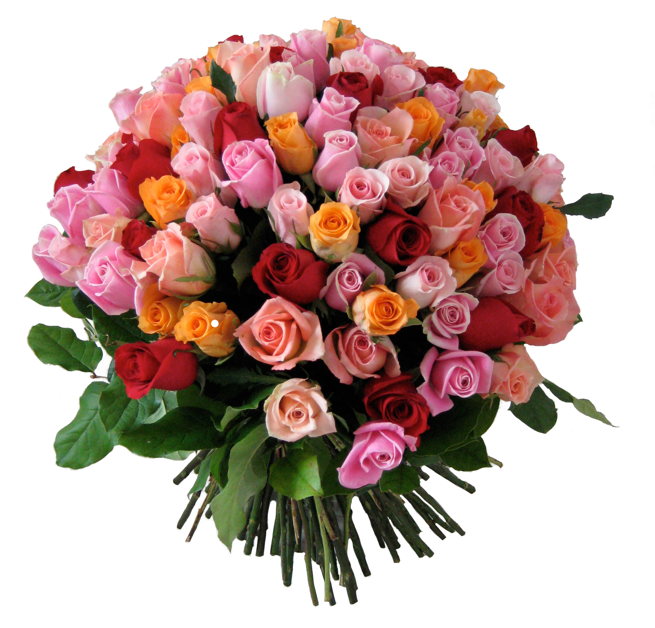 99 Assorted Lovely Roses